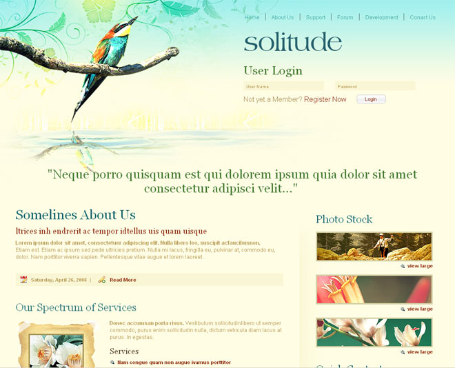Start Website Builder