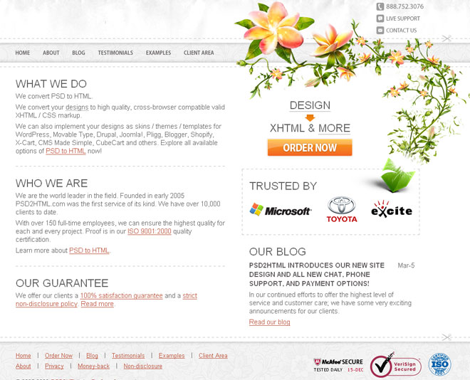 Web Design 1